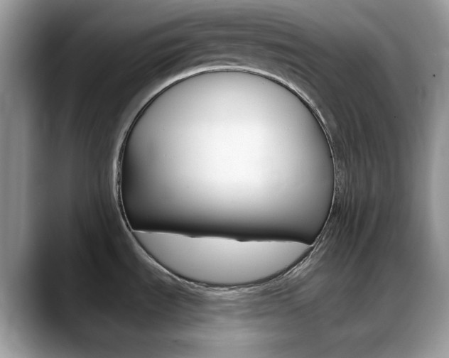 X0000088891535200706080756