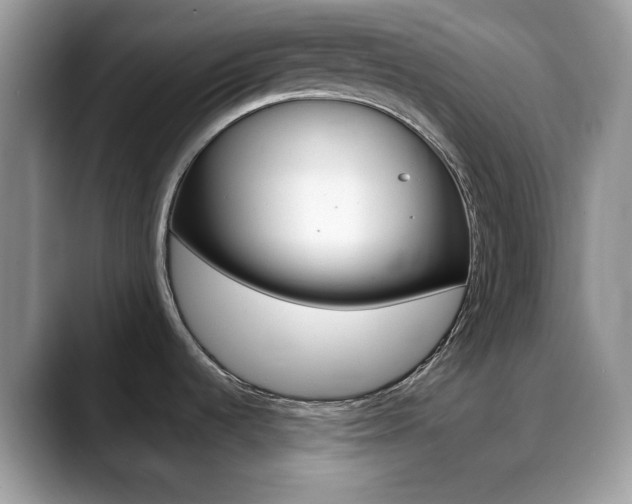 X0000088891536200706080756