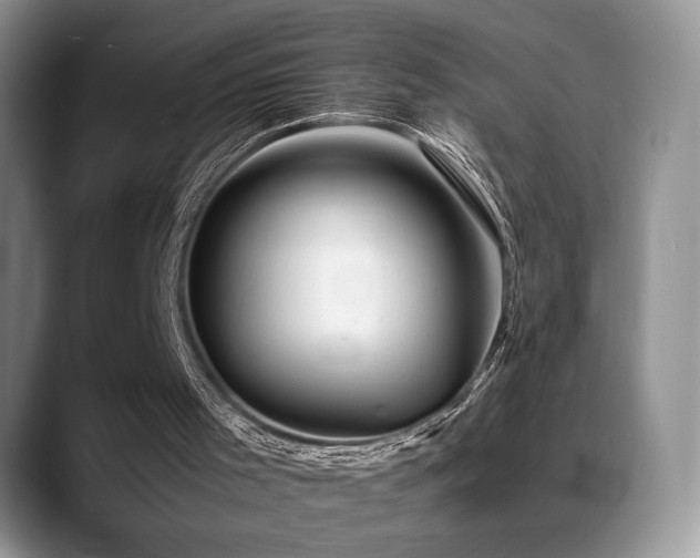 X0000088890001200706081256