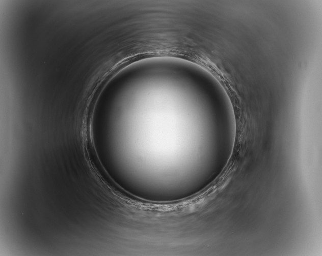 X0000088890002200706081256