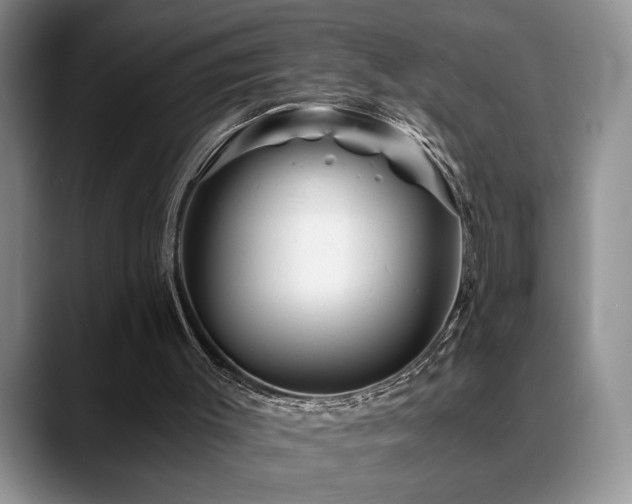 X0000088890003200706081256