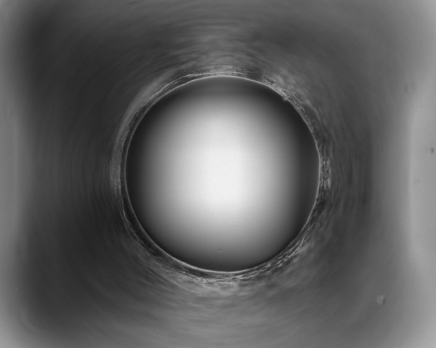 X0000088890004200706081256