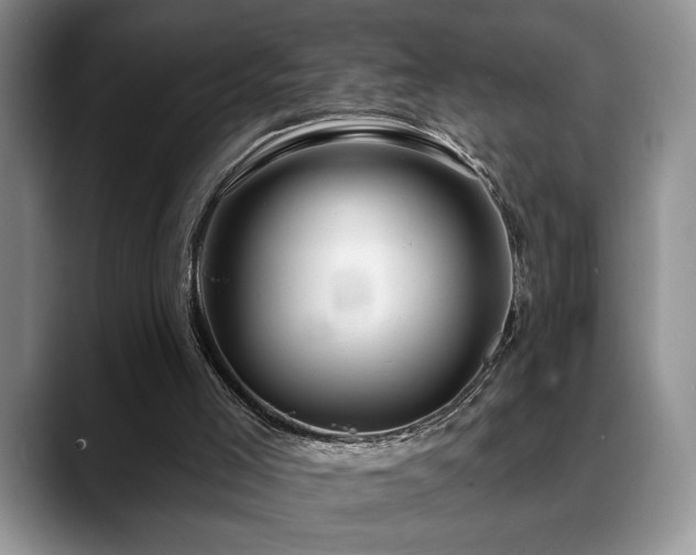 X0000088890005200706081256