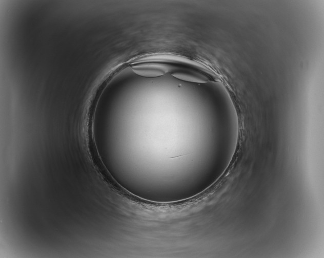 X0000088890006200706081256