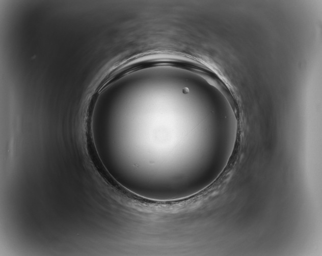 X0000088890007200706081256