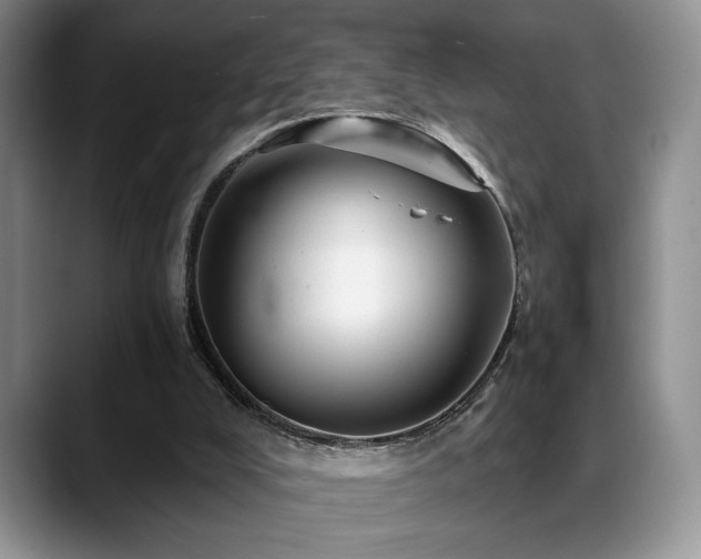 X0000088890008200706081256