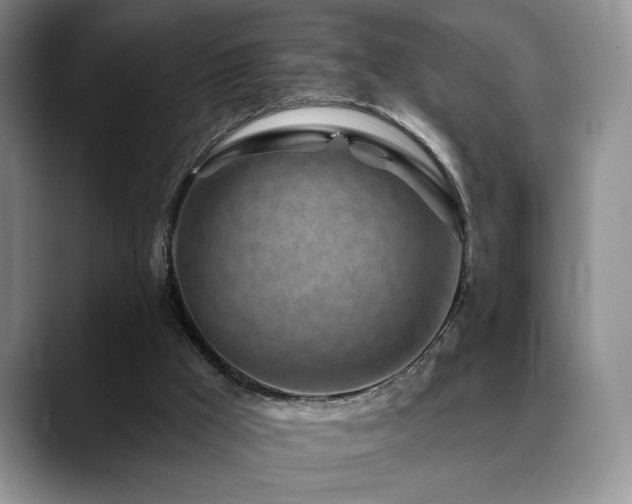 X0000088890009200706081256