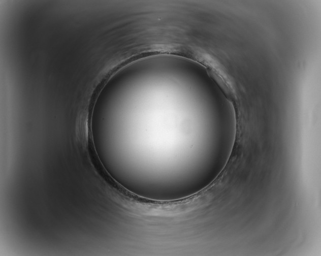 X0000088890011200706081256