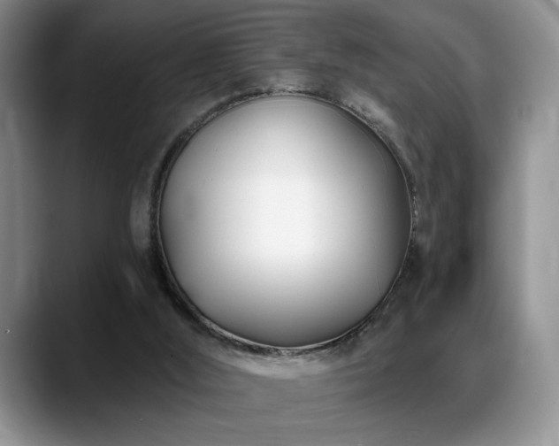 X0000088890012200706081256