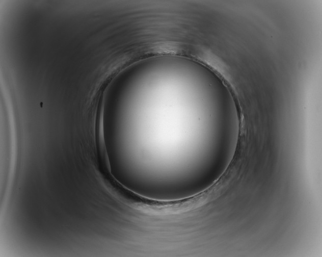 X0000088890013200706081256