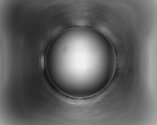 X0000088890014200706081256