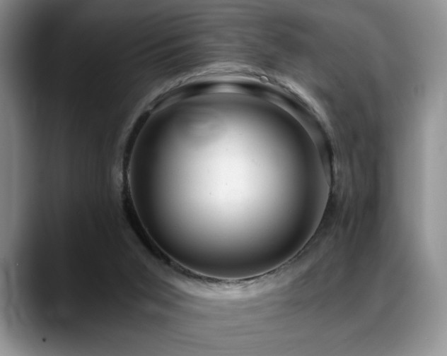 X0000088890015200706081256