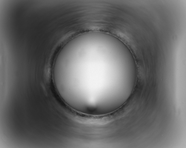 X0000088890016200706081256