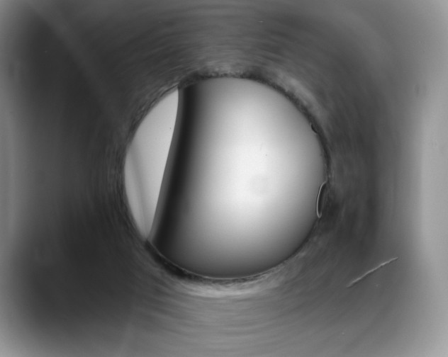 X0000088890017200706081256