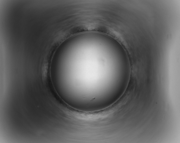 X0000088890018200706081256