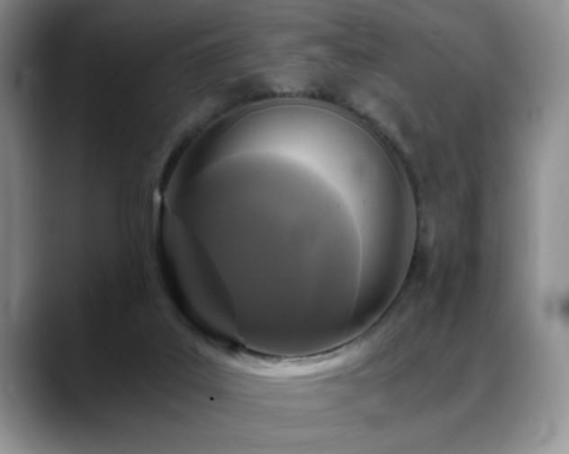 X0000088890019200706081256