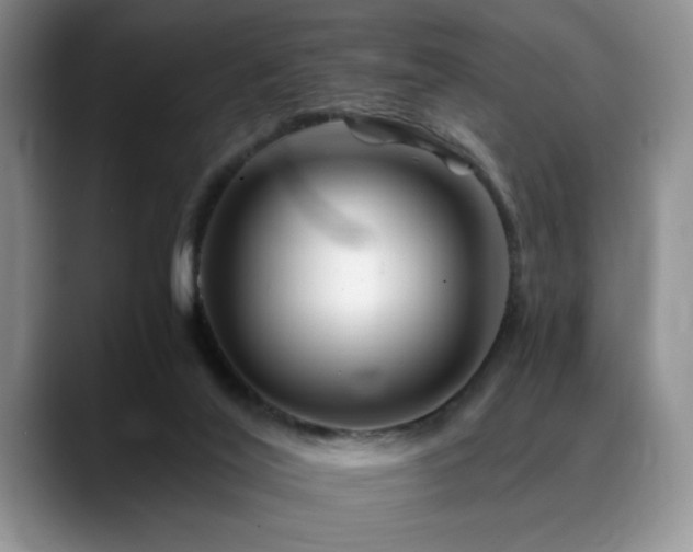 X0000088890020200706081256