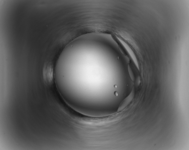 X0000088890021200706081256