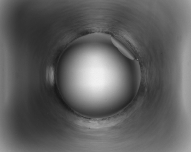 X0000088890022200706081256