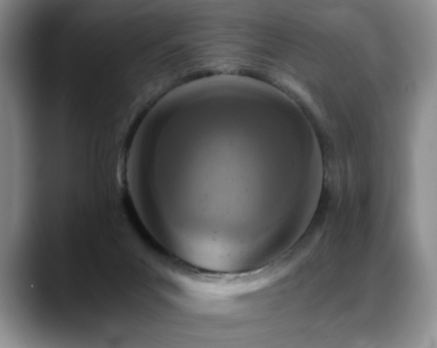 X0000088890023200706081256