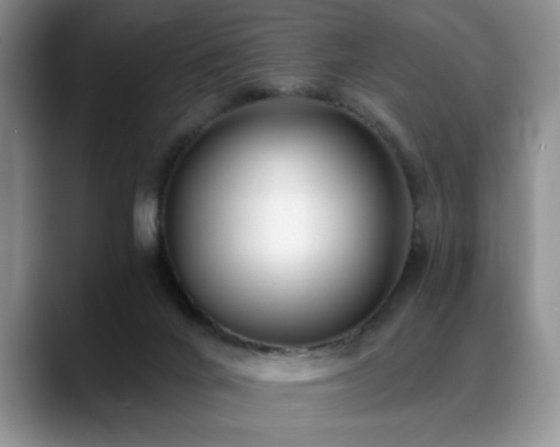 X0000088890024200706081256