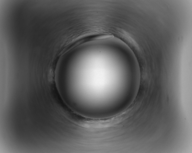 X0000088890025200706081256