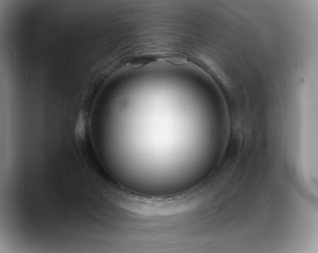 X0000088890026200706081256