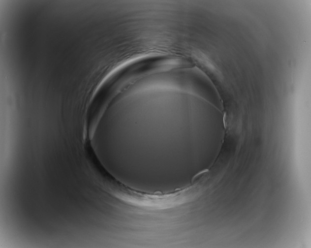 X0000088890027200706081256