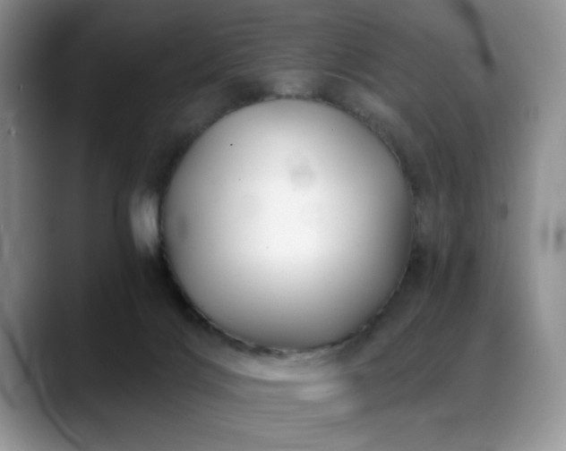 X0000088890028200706081256