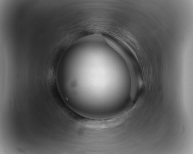 X0000088890029200706081256