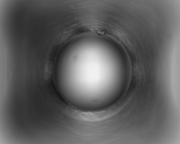 X0000088890030200706081256