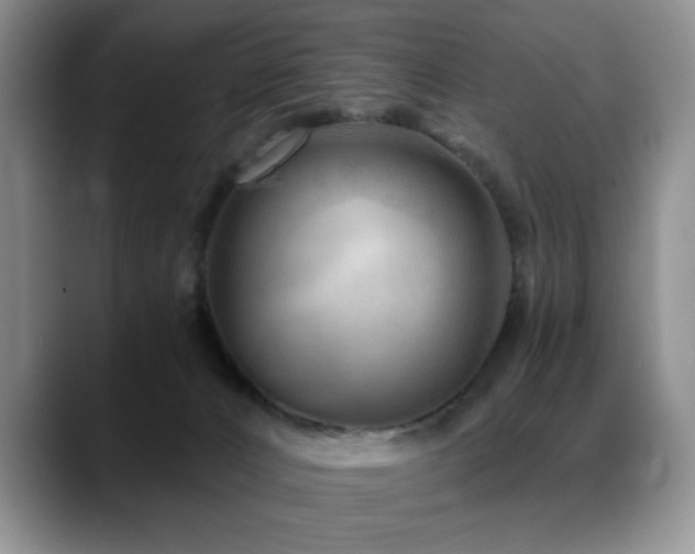 X0000088890032200706081256