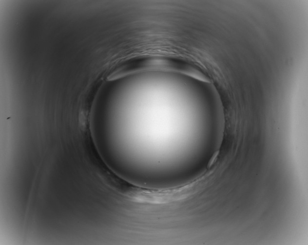 X0000088890033200706081256