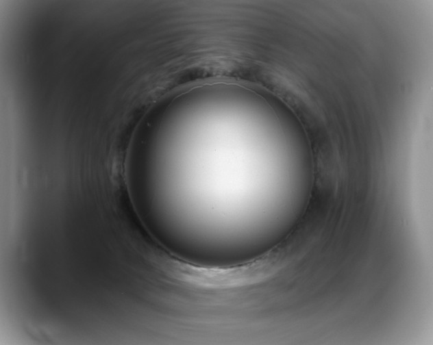 X0000088890034200706081256