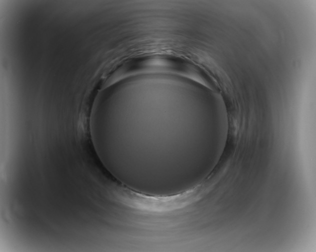 X0000088890035200706081256