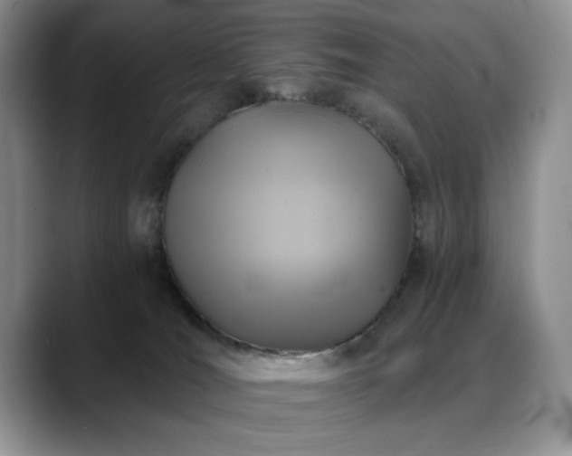 X0000088890036200706081256