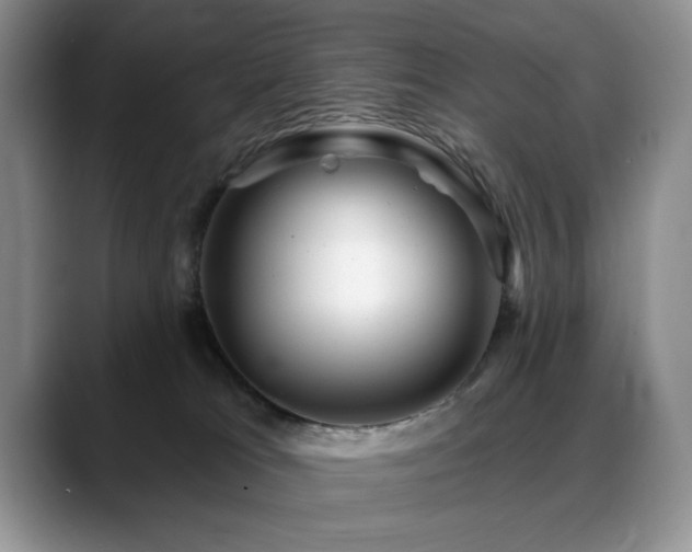 X0000088890037200706081256