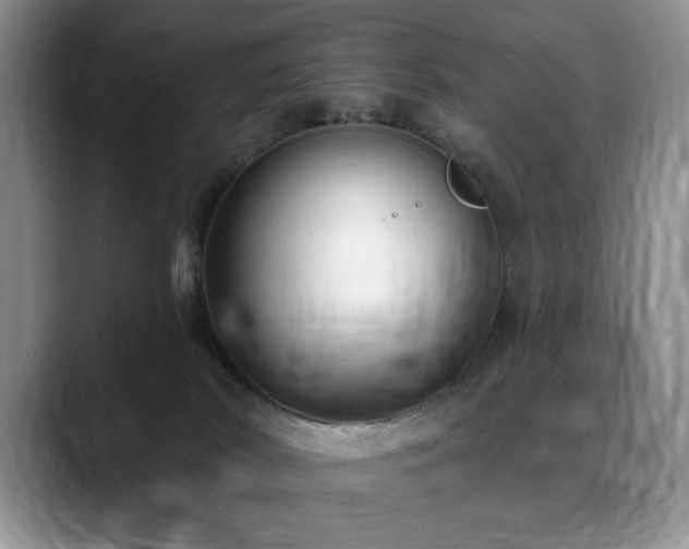 X0000088890038200706081256