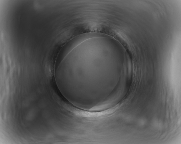 X0000088890039200706081256