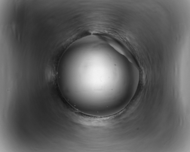 X0000088890040200706081256