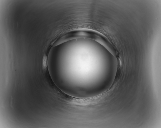 X0000088890041200706081256