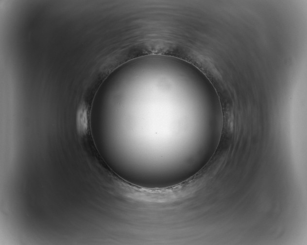 X0000088890042200706081256