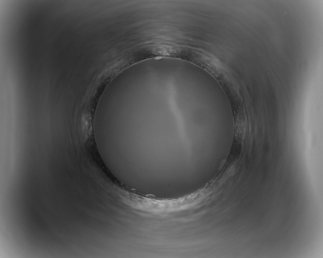 X0000088890043200706081256