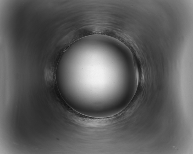 X0000088890044200706081256