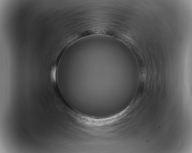 X0000088890047200706081256