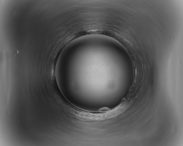 X0000088890048200706081256