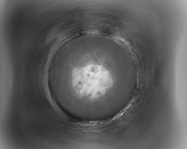 X0000088890049200706081255