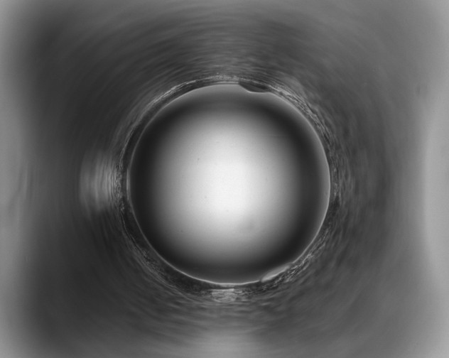 X0000088890050200706081255