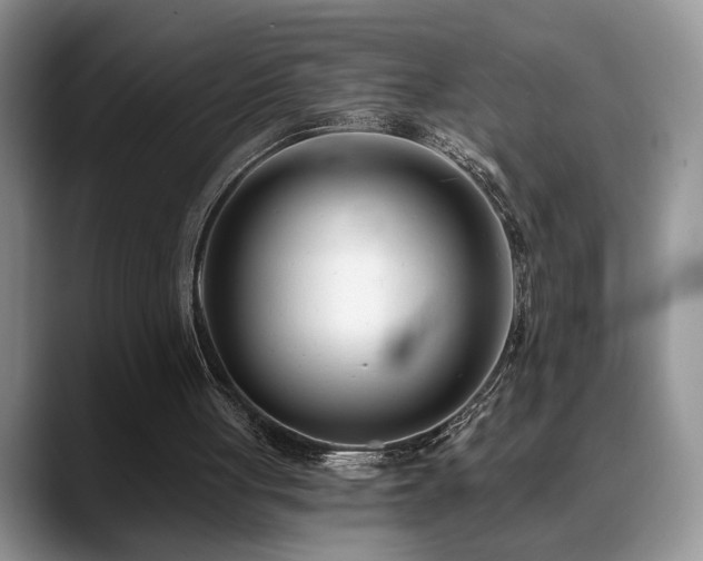 X0000088890051200706081255