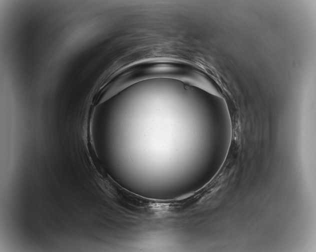 X0000088890052200706081255